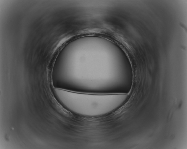 X0000093421404200710120847