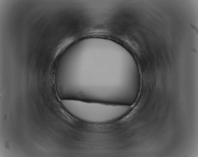 X0000093421405200710120847