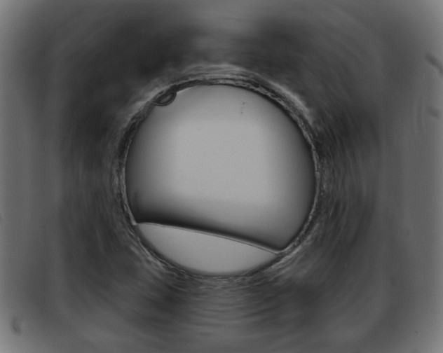 X0000093421407200710120847