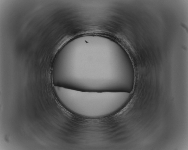 X0000093421409200710120847
