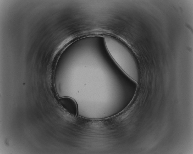 X0000093421410200710120847