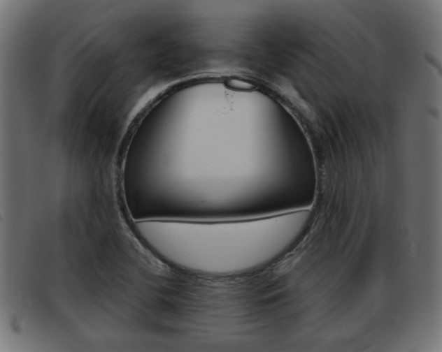 X0000093421412200710120847