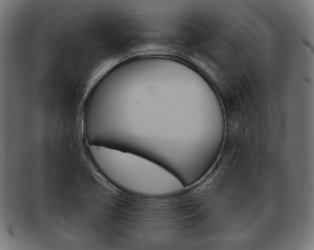 X0000093421413200710120847