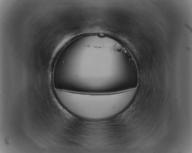 X0000093421416200710120847