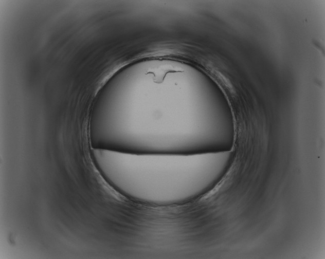 X0000093421417200710120847