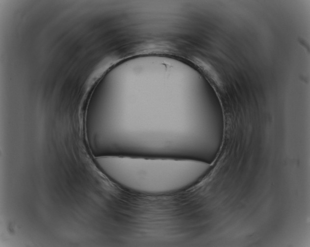X0000093421419200710120847
