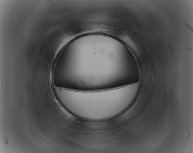 X0000093421420200710120847