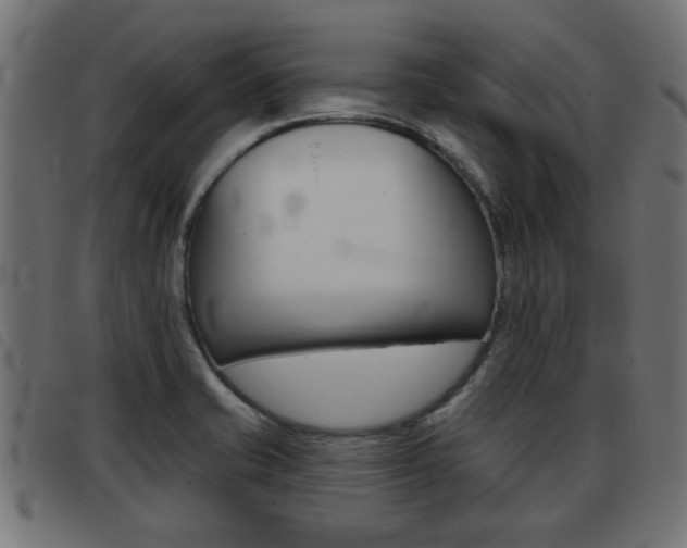 X0000093421421200710120847