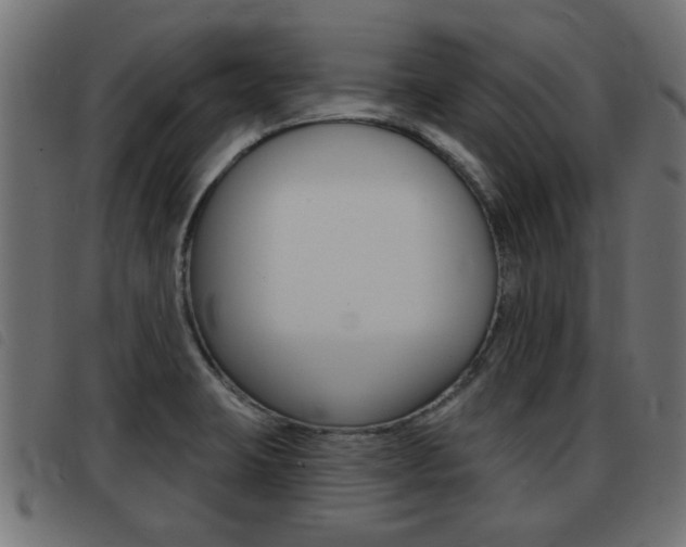 X0000093421423200710120847