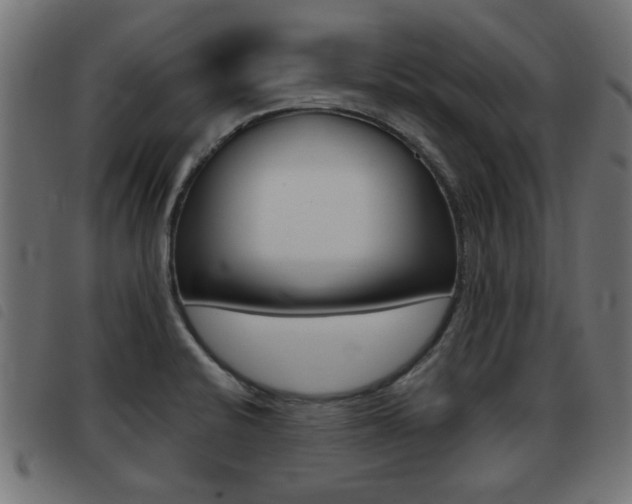 X0000093421424200710120847