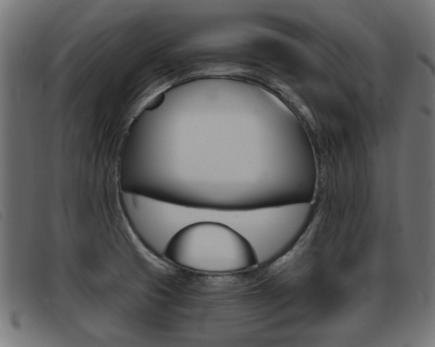 X0000093421425200710120847
