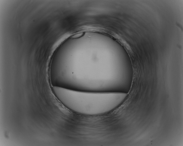 X0000093421427200710120847