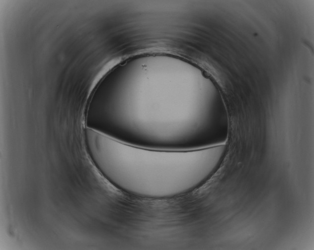 X0000093421428200710120847