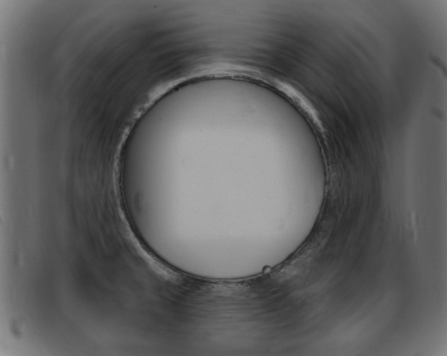 X0000093421429200710120847