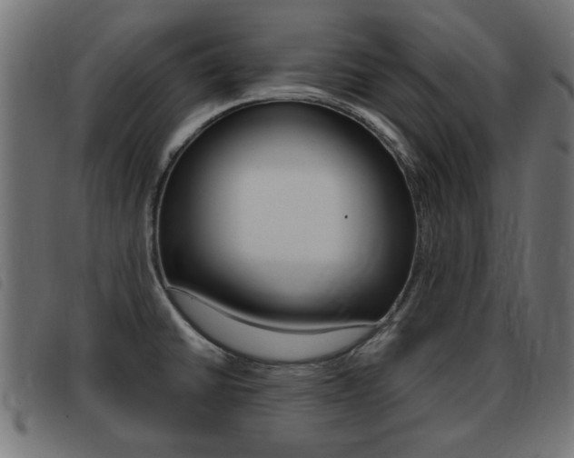 X0000093421430200710120847