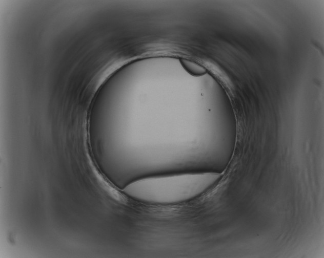 X0000093421431200710120847