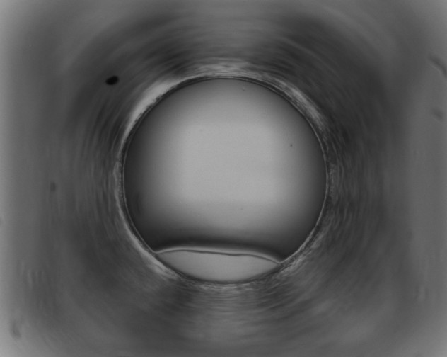 X0000093421432200710120847