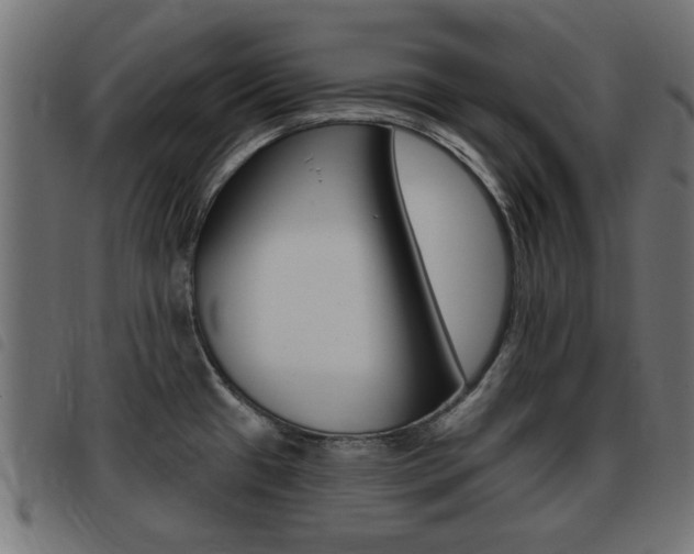 X0000093421433200710120847