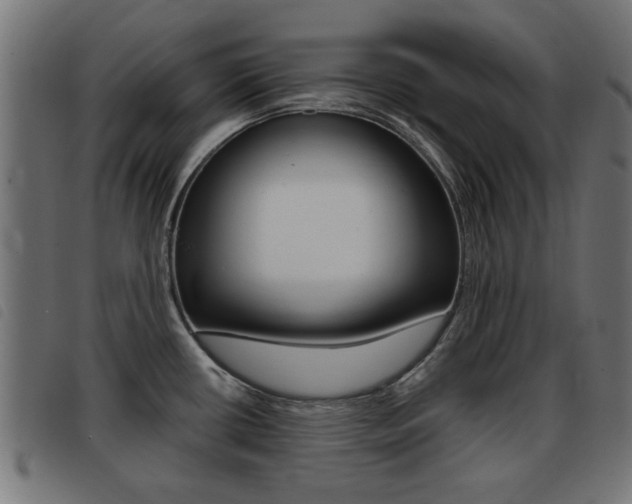 X0000093421434200710120847
