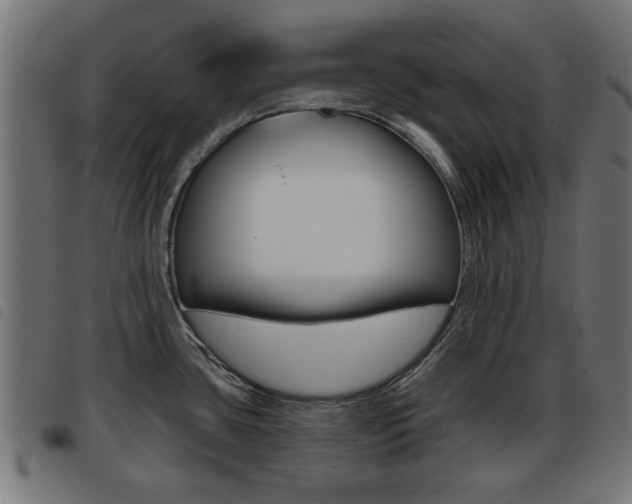 X0000093421435200710120847