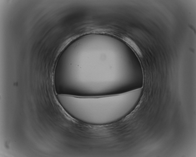 X0000093421436200710120847
