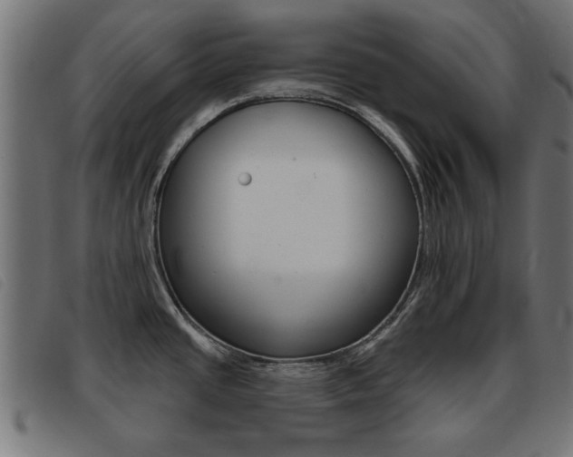 X0000093421437200710120847