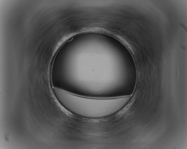X0000093421438200710120847
