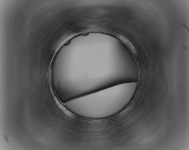 X0000093421439200710120847