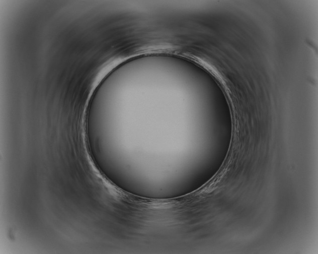 X0000093421440200710120847