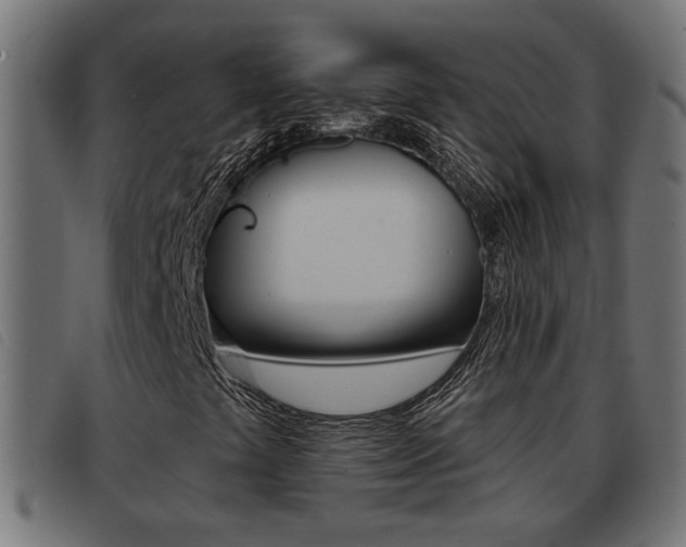 X0000093421441200710120847