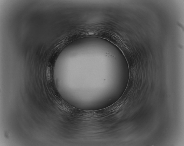 X0000093421442200710120847