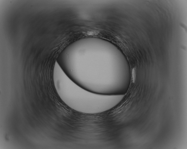 X0000093421443200710120847