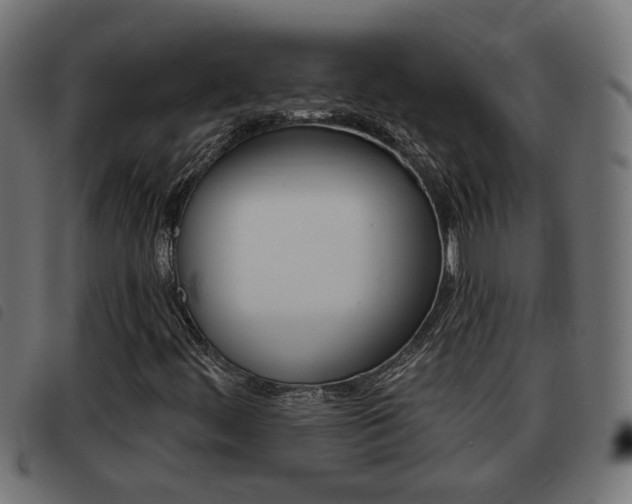 X0000093421444200710120847