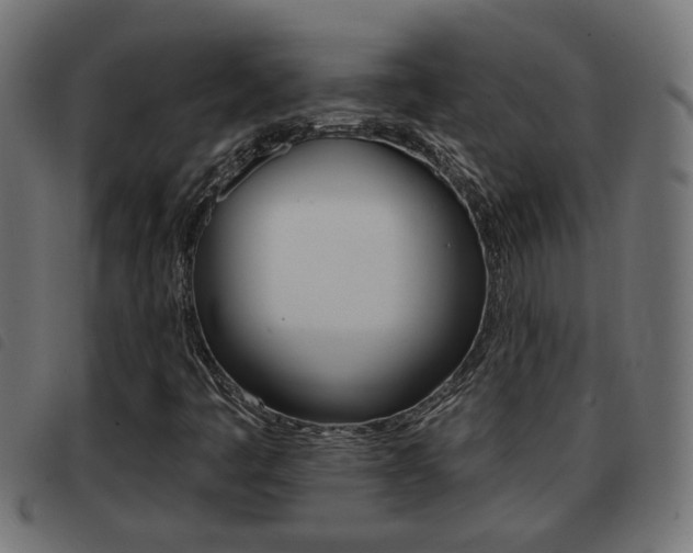 X0000093421445200710120847