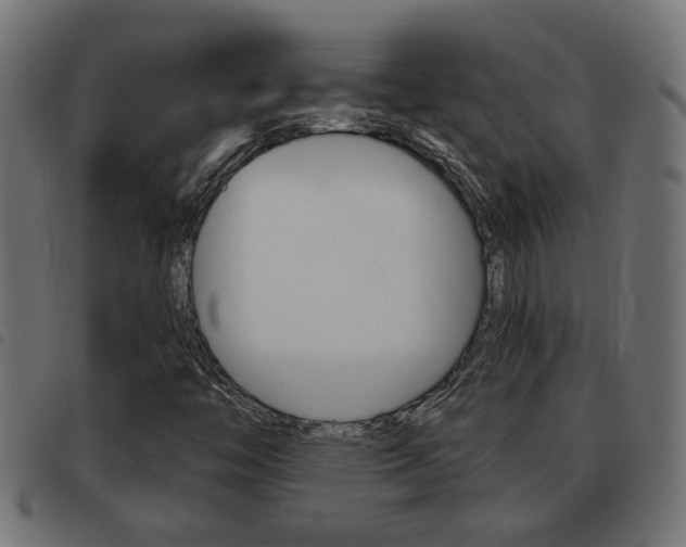 X0000093421446200710120847