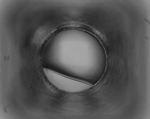 X0000093421448200710120847