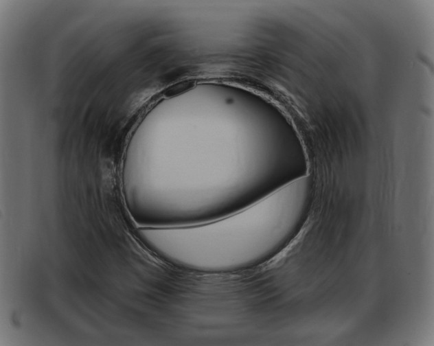 X0000093421449200710120847