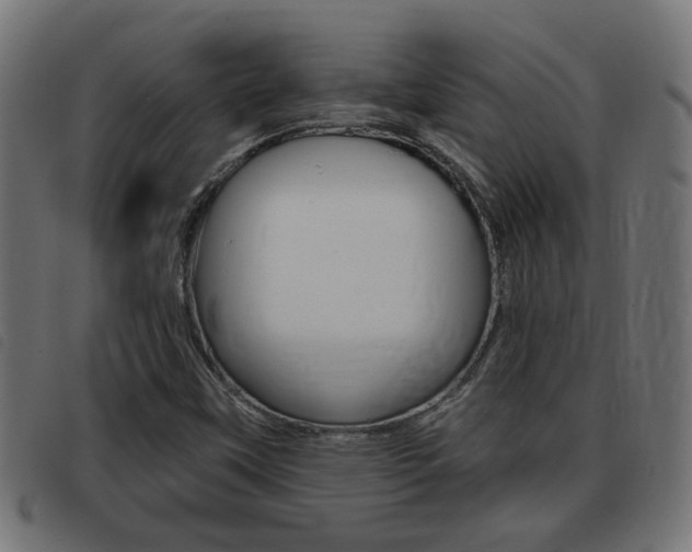 X0000093421451200710120847