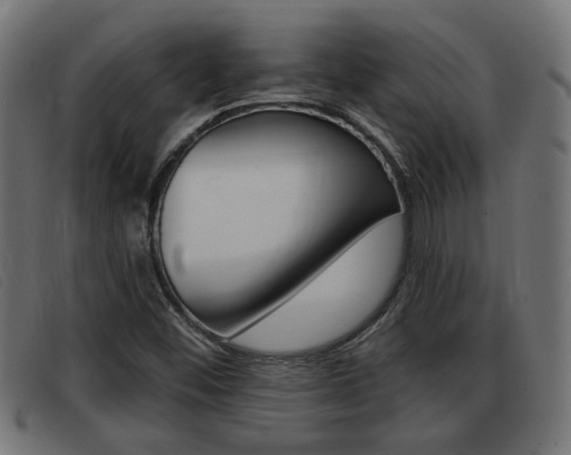X0000093421452200710120846
