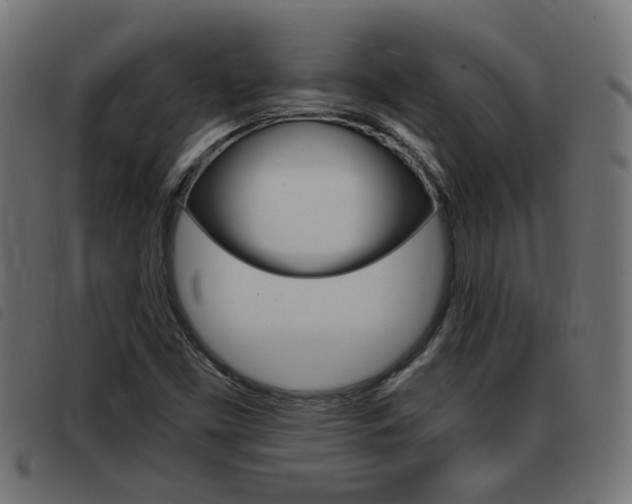X0000093421453200710120846