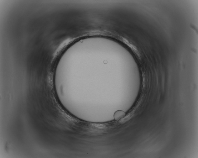 X0000093421454200710120846