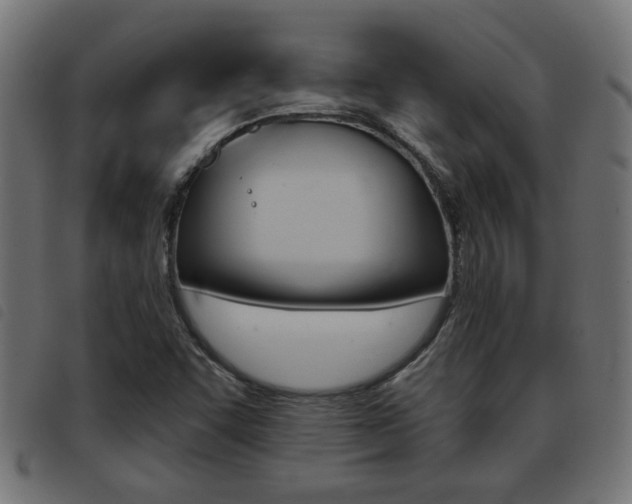 X0000093421455200710120846
