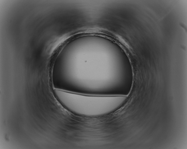 X0000093421456200710120846
