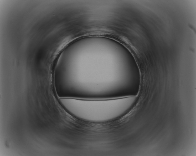 X0000093421459200710120846
