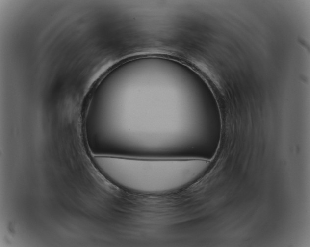 X0000093421460200710120846