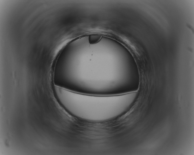 X0000093421463200710120846