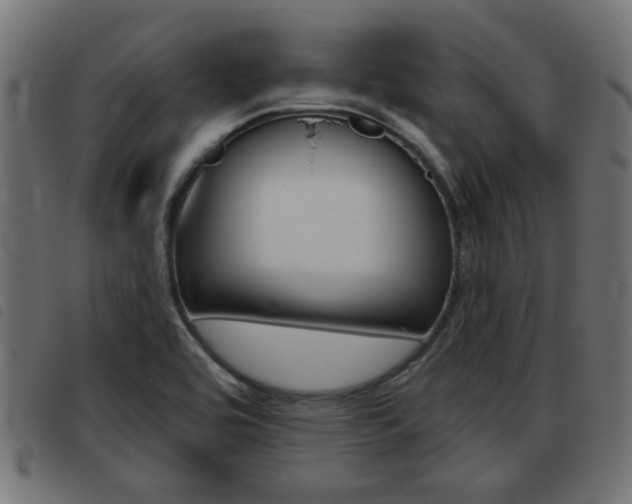 X0000093421464200710120846