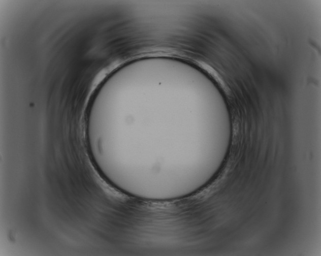 X0000093421466200710120846