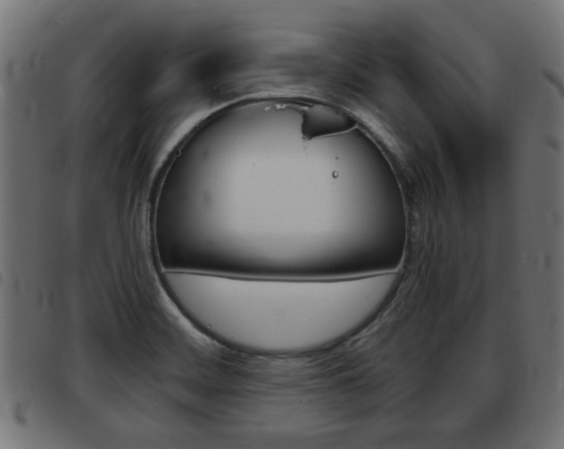 X0000093421468200710120846