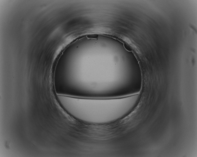 X0000093421469200710120846
